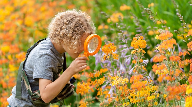 A child bending down to inspect plants with a magnifying glass at Quarry Bank Mill, Cheshire